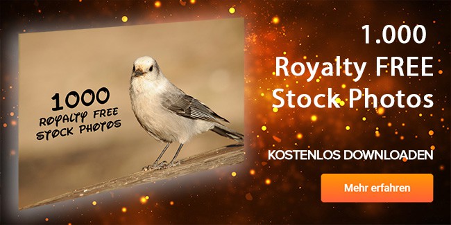 1000 Royalty Free Stock Photos gratis runterladen