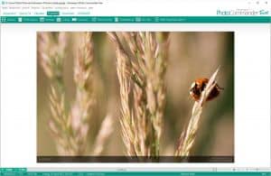 Ashampoo Photo Commander FREE gratis downloaden
