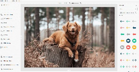Ashampoo® Snap 16 Software-Download Ashampoo® Snap 16 Software-Download