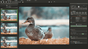 Ashampoo Zoom 2 Fotos verlustfrei skalieern Ashampoo Zoom 2 Fotos verlustfrei skalieern