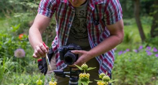 Fotografie im Garten: Praxisbuch mit Tutorials umsonst