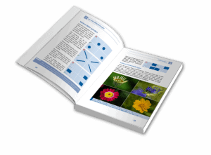 Das E-Book-Paket für bessere Fotos