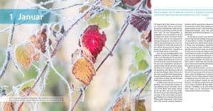 Praxisbuch Naturfotografie durchs ganze Jahr