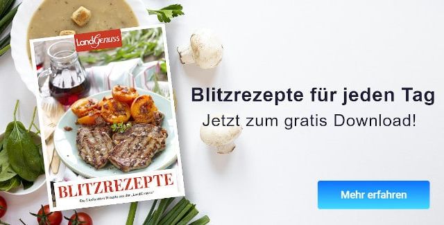 Leckere Blitzrezepte zum gratis Download