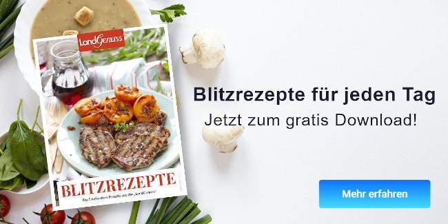 Leckere Blitzrezepte zum gratis Download