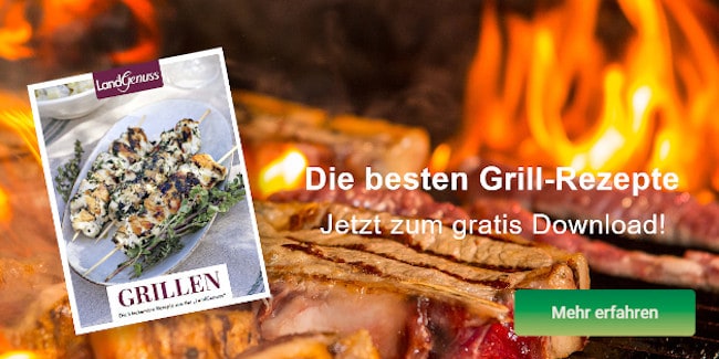 Die besten Grill-Rezepte 👉 Jetzt Gratis E-Book sichern