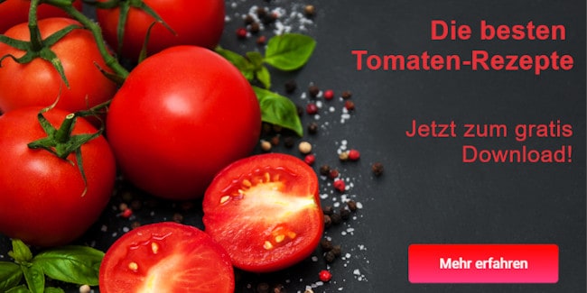 tomaten rezepte selber machen