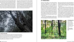 Landschaftsfotografie Die große Fotoschule