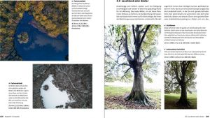 Landschaftsfotografie Die große Fotoschule