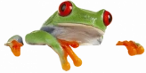 SnapFrog