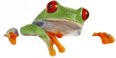 SnapFrog