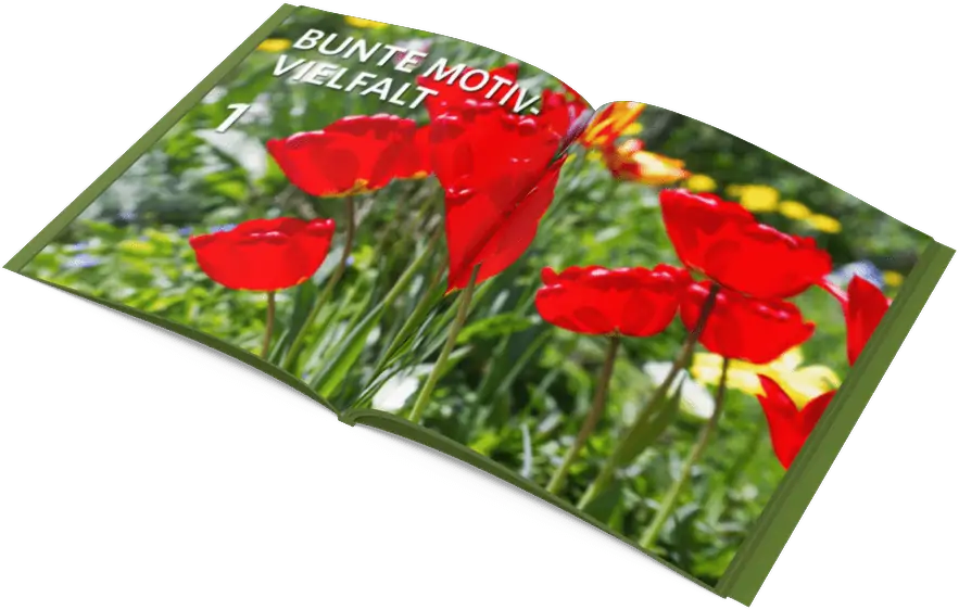 Tipps für Fotografie im Garten. Das E-Book jetzt gratis sichern Tipps für Fotografie im Garten. Das E-Book jetzt gratis sichern