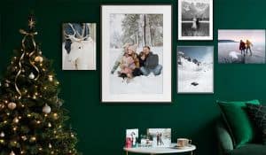 Whitewall: Highlights für Ihre Bilder