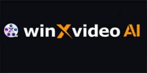 Videobearbeitung mit KI: WinxVIdeo AI